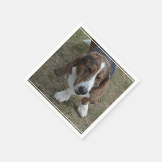 Serviette En Papier Sweet Basset Hound (Coin)