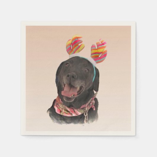 Serviette En Papier Sweet Black Labrador Retriever Chien (Devant)