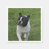 Serviette En Papier Sweet French Bulldog (Devant)