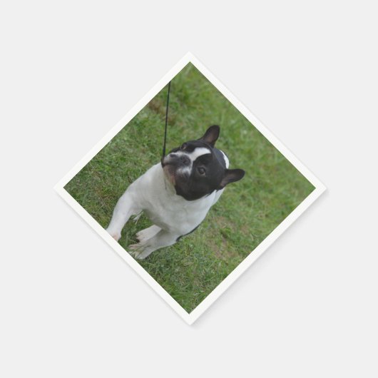 Serviette En Papier Sweet French Bulldog (Coin)