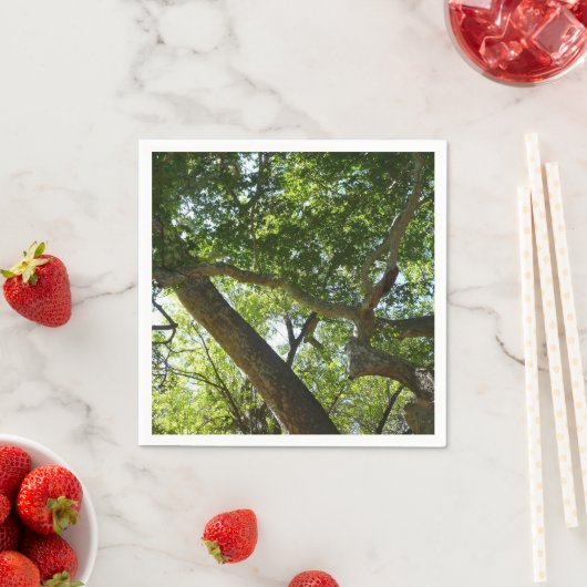 Serviette En Papier Sycamore Tree Nature verte (En situation)