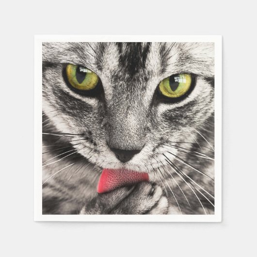 Serviette En Papier tabby (Devant)