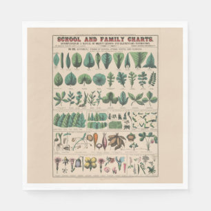 Serviette En Papier Tableau antique de l'école botanique, nature vinta