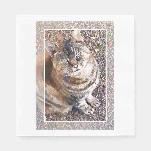 SERVIETTE EN PAPIER TABLEAU CAT (Devant)