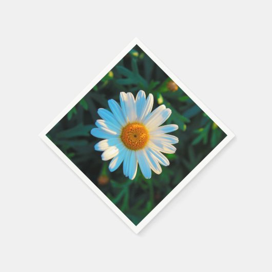 Serviette En Papier Taille unique (Coin)