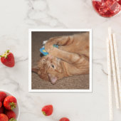 Serviette En Papier Tater (En situation)