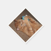 Serviette En Papier Tater (Coin)