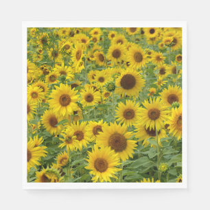 Serviette En Papier Terrain de tournesol jaune