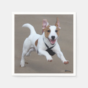 Serviette En Papier Terrier de Jack_Russell courant 2.png