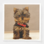 Serviette En Papier Terrier Puppy du Yorkshire (Devant)