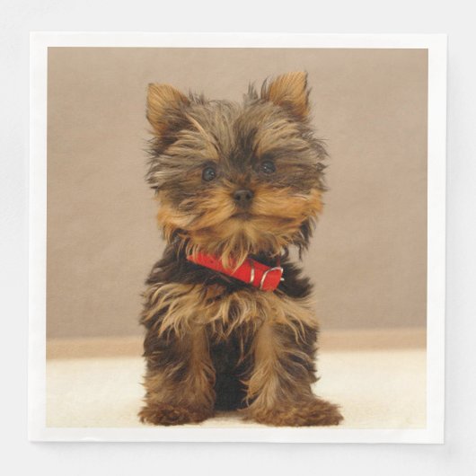 Serviette En Papier Terrier Puppy du Yorkshire (Devant)