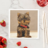 Serviette En Papier Terrier Puppy du Yorkshire (En situation)