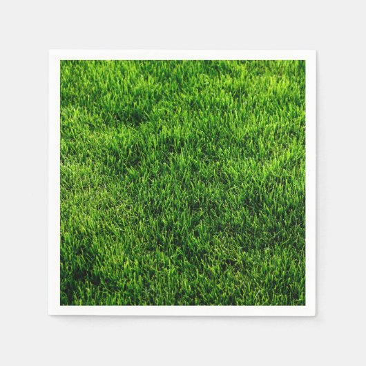 Serviette En Papier Textures de styles classiques (Devant)