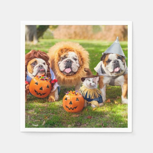 Serviette En Papier Three Bulldogs in Costumes (Devant)