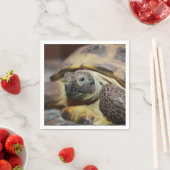 Serviette En Papier Tibbs (En situation)