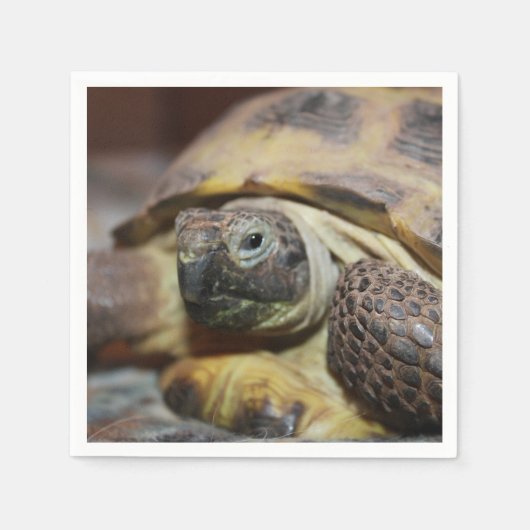 Serviette En Papier Tibbs (Devant)