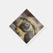 Serviette En Papier Tibbs (Coin)