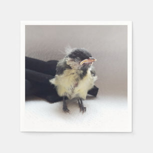 Serviette En Papier Tidi my Bird le Parus Major