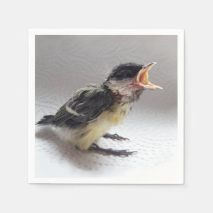 Serviette En Papier Tidi my Bird le Parus Major