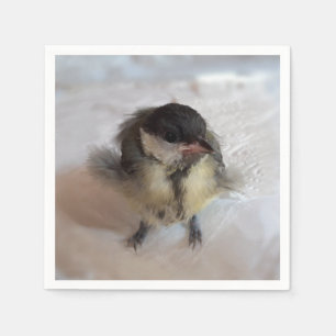 Serviette En Papier Tidi my Bird le Parus Major