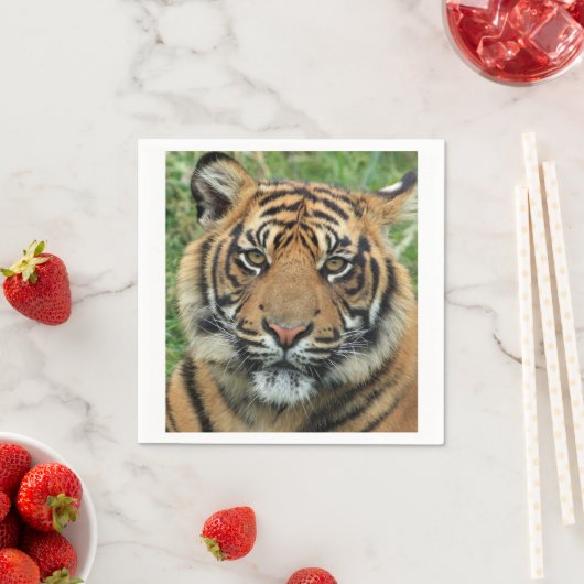 Serviette En Papier Tigre (En situation)