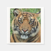 Serviette En Papier Tigre (Devant)