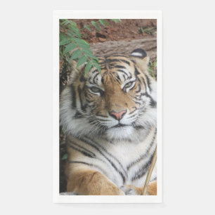 Serviette En Papier Tigre 005