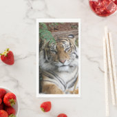 Serviette En Papier Tigre 005 (En situation)