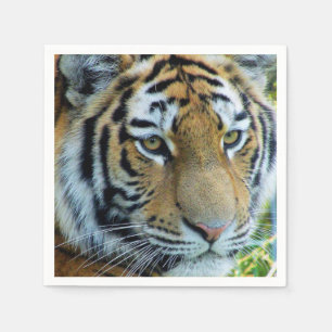 Serviette en papier Tigre de Sibérie, Tigre de l'A