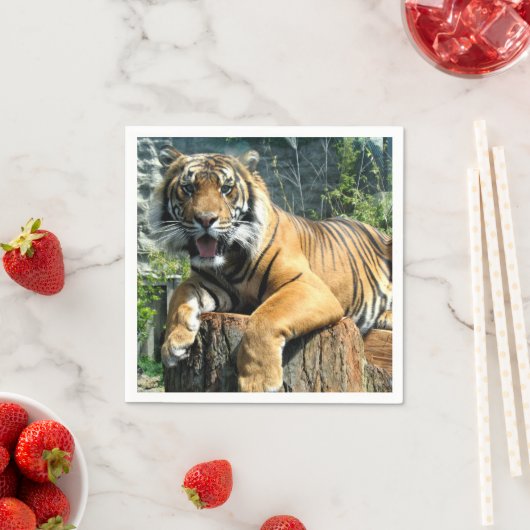 Serviette En Papier Tigre mignon (En situation)