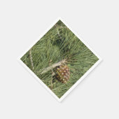Serviette En Papier Torrey Pine Closeup California Botanical (Coin)