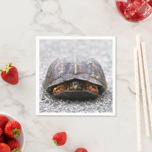 Serviette En Papier Tortue (En situation)