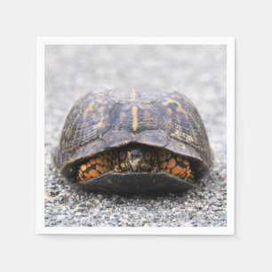 Serviette En Papier Tortue
