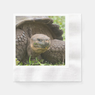 Serviette En Papier Tortue géante