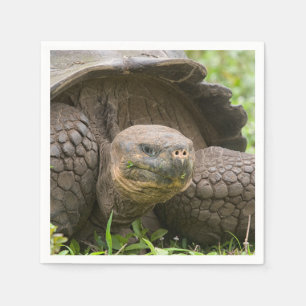 Serviette En Papier Tortue géante
