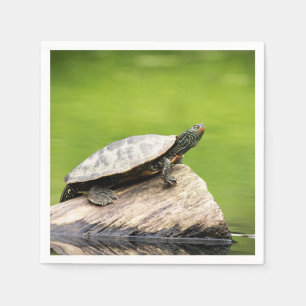 Serviette En Papier Tortue peinte sur un bûcher