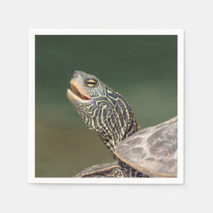 Serviette En Papier Tortue sur La Chute