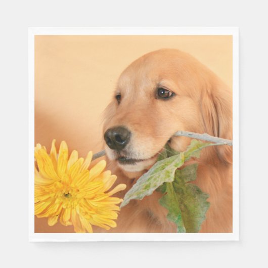 Serviette En Papier Toute Occasion Golden Retriever Chien Avec Fleur (Devant)