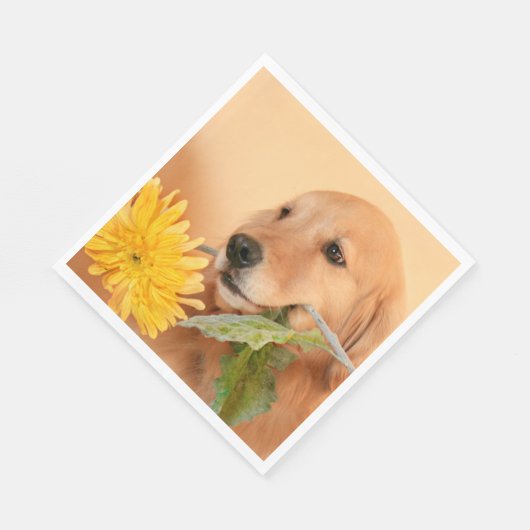 Serviette En Papier Toute Occasion Golden Retriever Chien Avec Fleur (Coin)