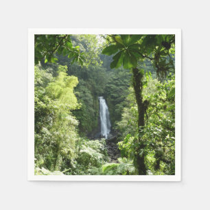 Serviette En Papier Trafalgar Falls Tropical Rainforest Photographie