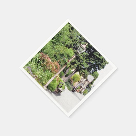 SERVIETTE EN PAPIER TRAIN STATIONS (Coin)