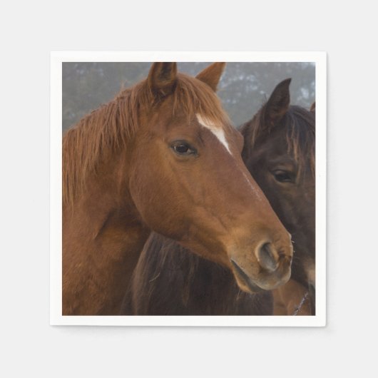 Serviette En Papier Triplets de chevaux (Devant)