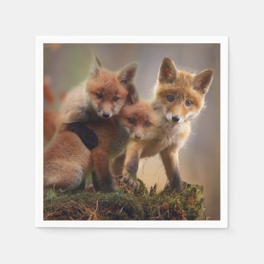 Serviette En Papier Triplets Foxy (Devant)