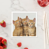 Serviette En Papier Trois mignonnes chatons chatons gingembre photo de (En situation)