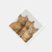 Serviette En Papier Trois mignonnes chatons chatons gingembre photo de (Coin)