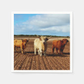 Serviette En Papier Trois vaches coquines Highland, serviettes en papi (Devant)