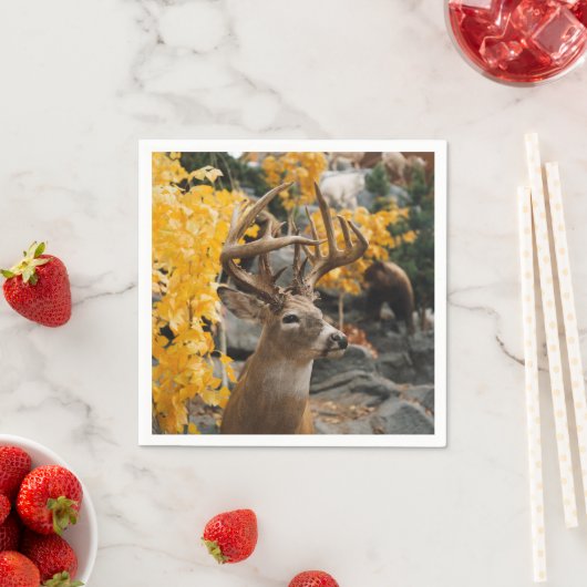 Serviette En Papier Trophée (En situation)