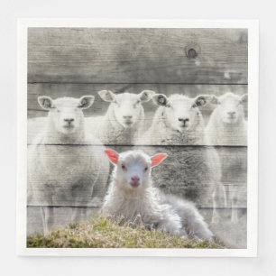 Serviette En Papier Troupeau de moutons agneau bébé