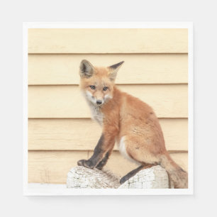 Serviette En Papier Trousse Red Fox dans la vallée de l'Hudson