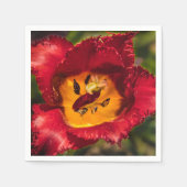Serviette En Papier Tuliforme rouge (Devant)